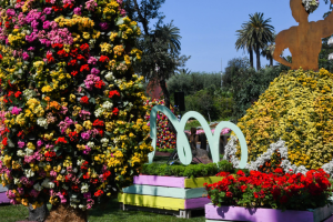 Euroflora 29.04.2025 