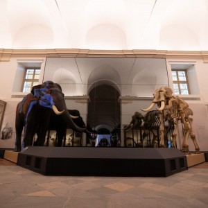 Un pomeriggio al Museo delle Scienze e cioccolata calda in compagnia