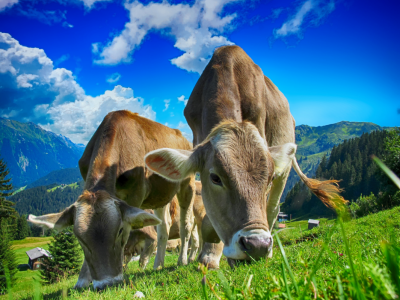UNA VACANZA IN VAL DI VIÙ