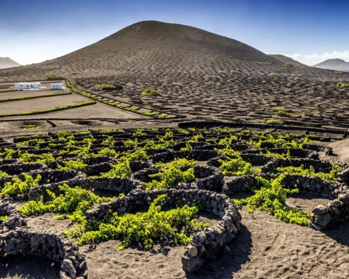 lanzarote-2.jpg