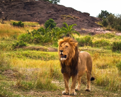 tanzania-2.png