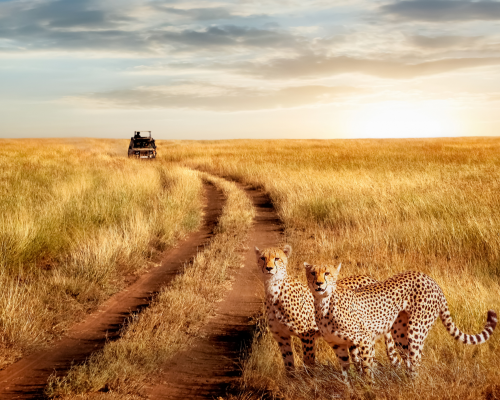tanzania-4.png