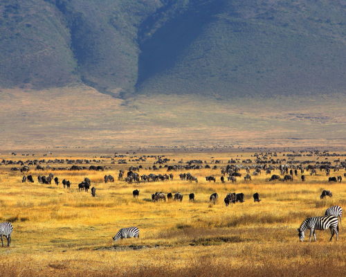 tanzania-6.png