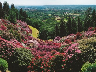 La fioritura dei rododendri al parco della Burcina e Rosazza, il borgo più misterioso d'Italia con panoramica in bus della Valle Cervo