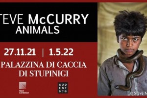 “ANIMALS”:  la mostra fotografica di Steve McCurry alla Palazzina di Caccia di Stupinigi 